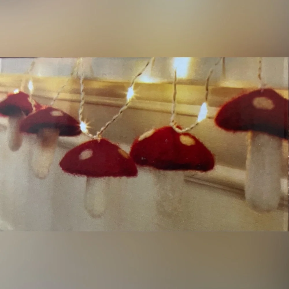 20ct. Warm White LED Felt Mushroom String Lights by Ashland®